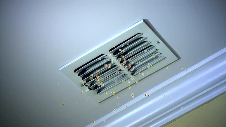 Best Air Duct Cleaning Near Me  in Twisp, WA
